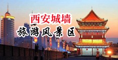 欧美大鸡巴把后穴插满中国陕西-西安城墙旅游风景区